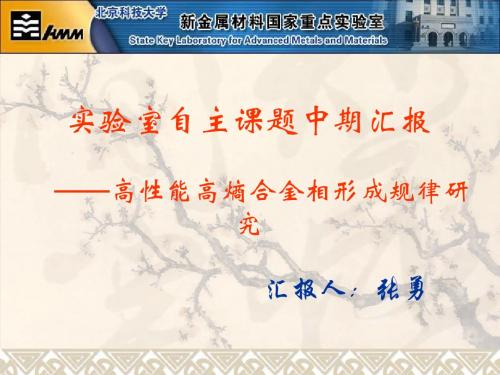 自主课题中期汇报