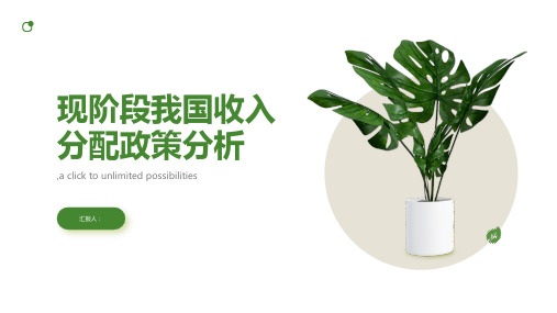 现阶段我国收入分配政策分析