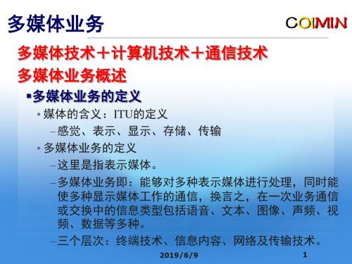第七章电信业务增值之多媒体业务