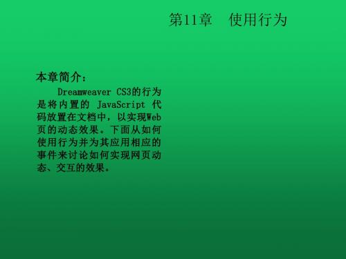 Dreamweaver CS3网页设计案例教程 (11)