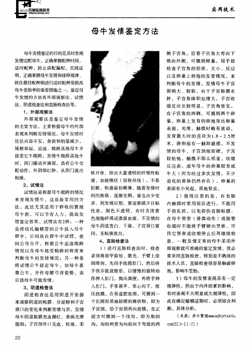 母牛发情鉴定方法