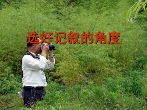 选好记叙的角度课件