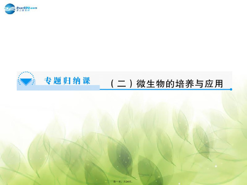 高中生物 专题2专题2 微生物的培养与应用专题归纳课件 苏教版选修1