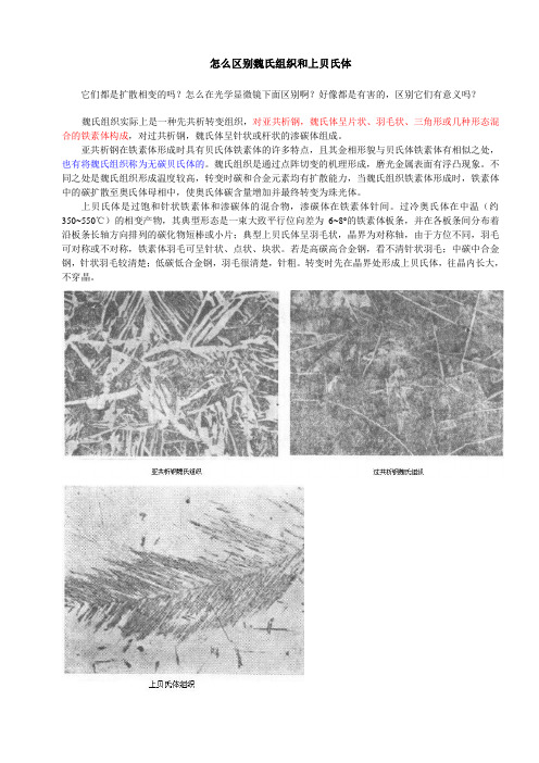 怎么区别魏氏组织和上贝氏体