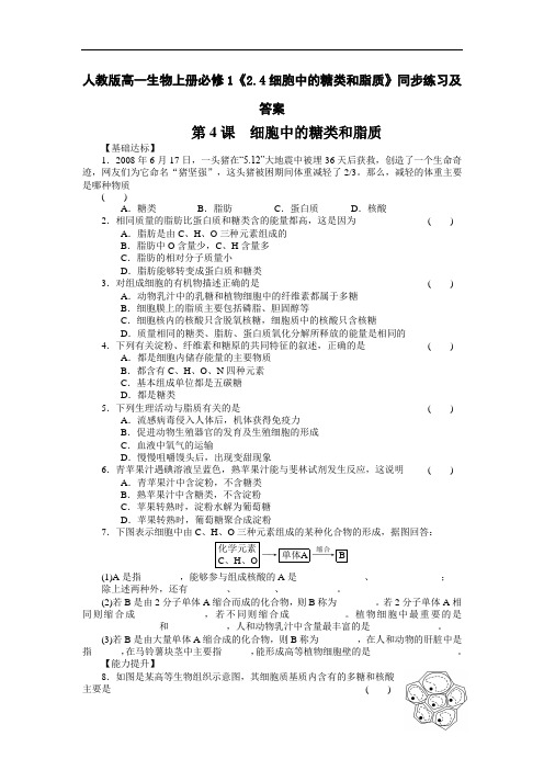 2020人教版高一生物上册必修1《2.4细胞中的糖类和脂质》【含答案】