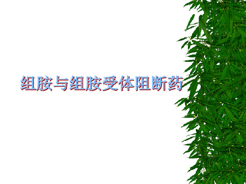 第15章 组胺与组按受体阻断药