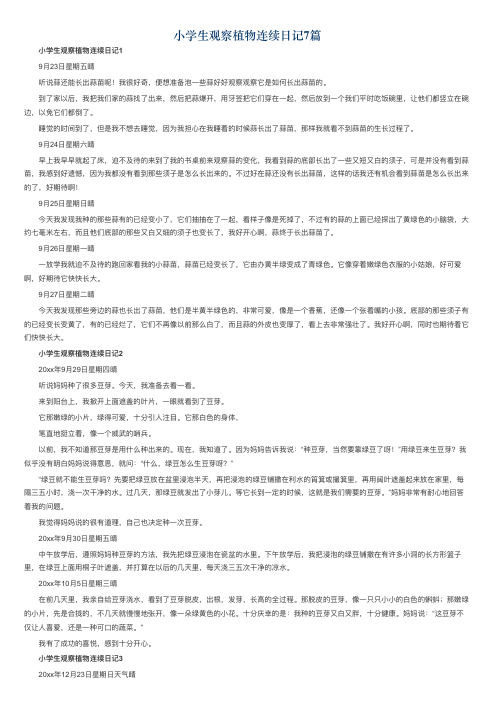 小学生观察植物连续日记7篇