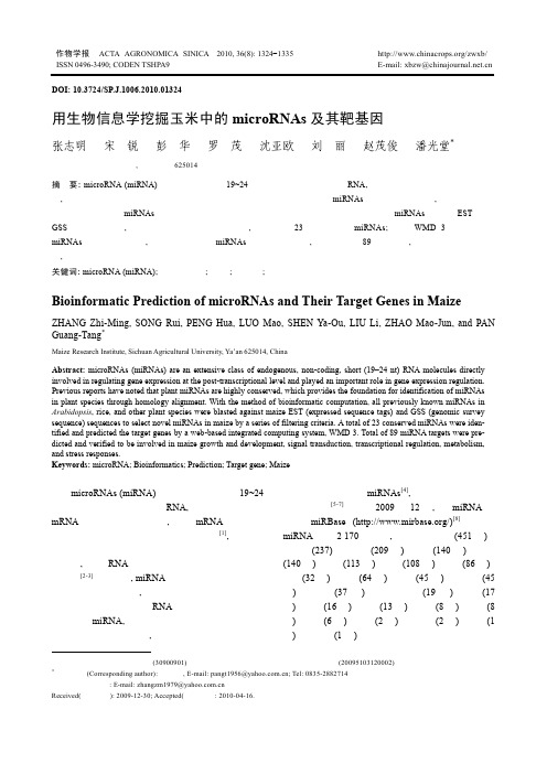 用生物信息学挖掘玉米中的microRNAs及其靶基因