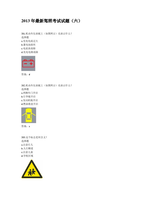 2013最新驾照6