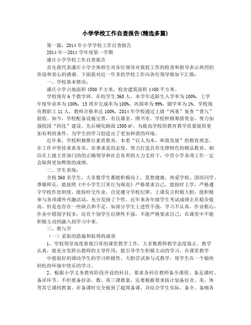 小学学校工作自查报告(精选多篇)
