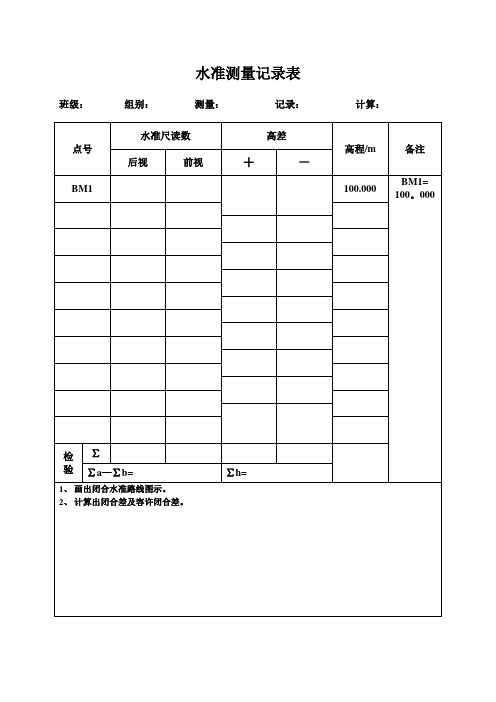 水准测量记录表【范本模板】