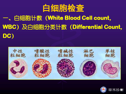 一、白细胞计数(White Blood Cell count WBC)及白细胞 ...