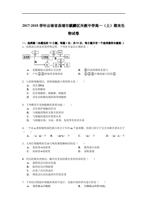 2017-2018学年云南省曲靖市麒麟区兴教中学高一(上)期末生物试卷 Word版含解析