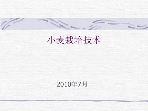 小麦栽培技术