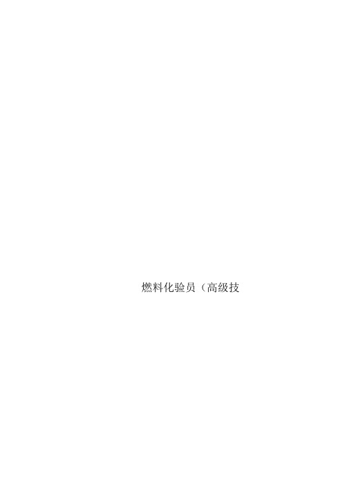 燃料化验员高级技师