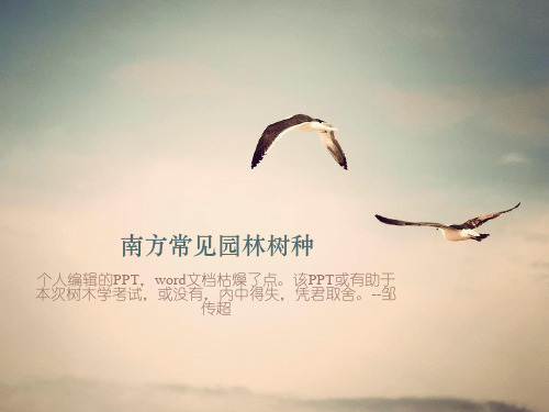 南方常见园林树木(1)