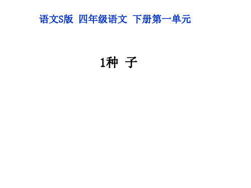 四年级下册语文课件-1种子｜语文S版 (共34张PPT)