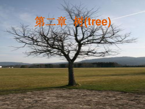 图论 第二章  树(tree)