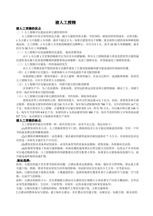 猪人工受精