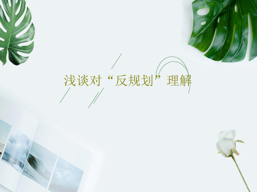 浅谈对“反规划”理解28页PPT