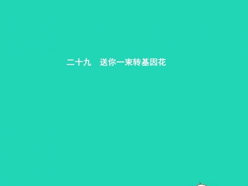 八年级语文上册 第六单元 二十九 送你一束转基因花课