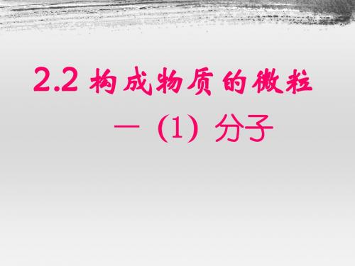构成物质的微粒——分子