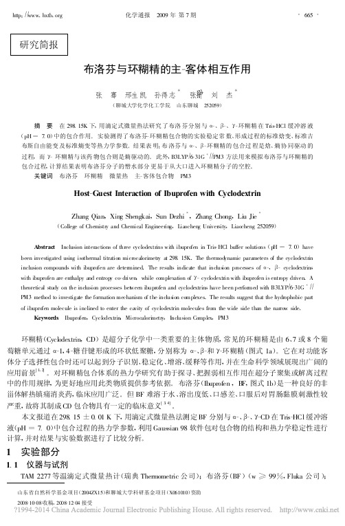布洛芬与环糊精的主_客体相互作用_张骞