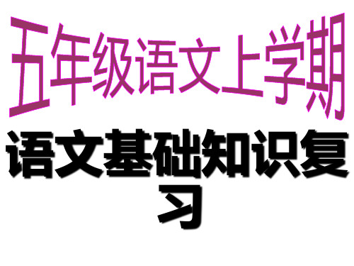人教版五年级语文上册期末复习句型资料ppt (1)