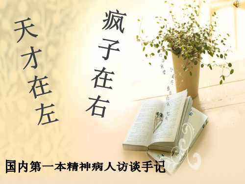 《天才在左疯子在右》概要