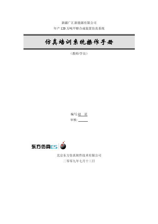 甲醇仿真