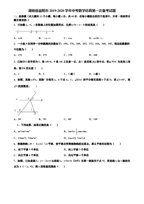 湖南省益阳市2019-2020学年中考数学仿真第一次备考试题含解析