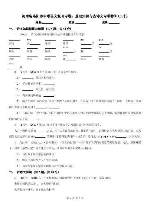 河南省洛阳市中考语文复习专题：基础知识与古诗文专项特训(二十)