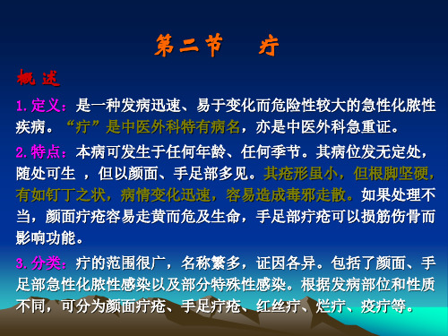 中医外科学-疔