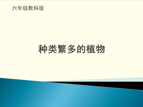 教科版科学《多种多样的植物》精品推荐1