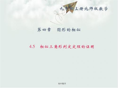 北师大版九级数学上册课件：4.5 相似三角形判定定理的证明 (共25张PPT)