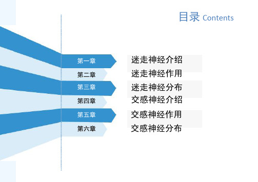 迷走神经与交感神经