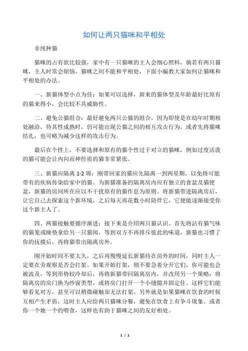 如何让两只猫咪和平相处