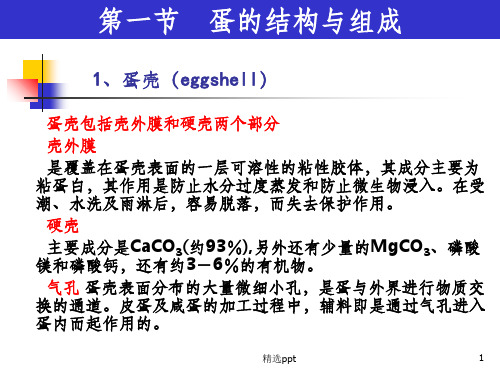 《蛋与蛋制品》PPT课件