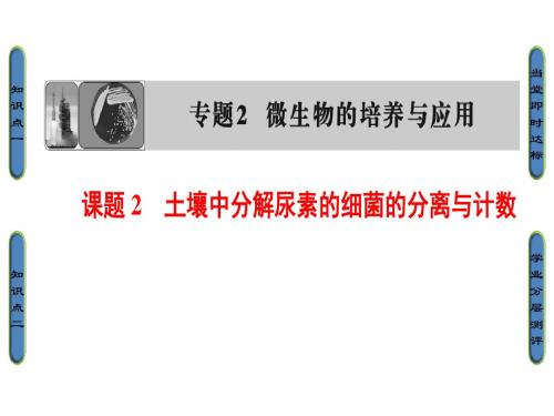 高中生物人教版选修一(课件) 专题2 微生物的培养与应用 专题2 课题2