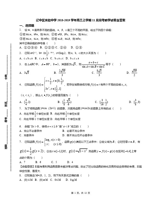 辽中区实验中学2018-2019学年高三上学期11月月考数学试卷含答案