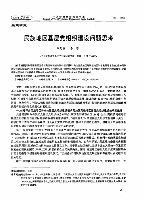 民族地区基层党组织建设问题思考