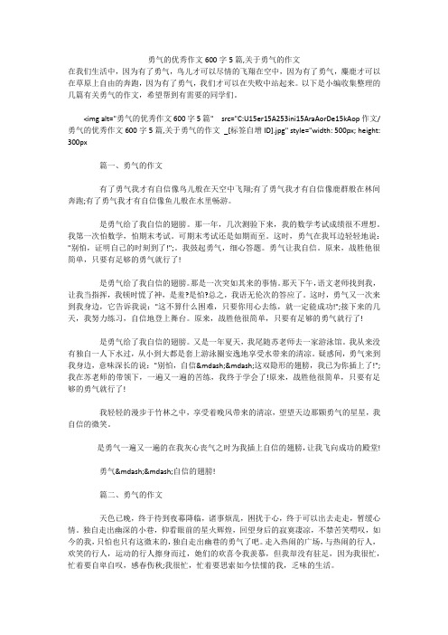 勇气的优秀作文600字5篇,关于勇气的作文 
