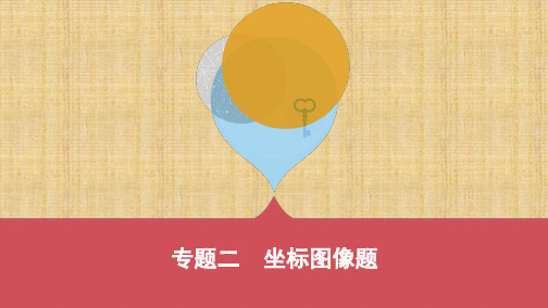 河南中考物理专项突破  专题二 坐标图像题