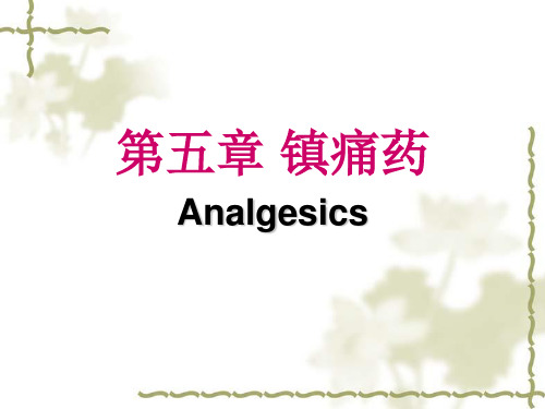 第5章镇痛药课件(共48张PPT)《药物化学》同步教学(人卫8版)