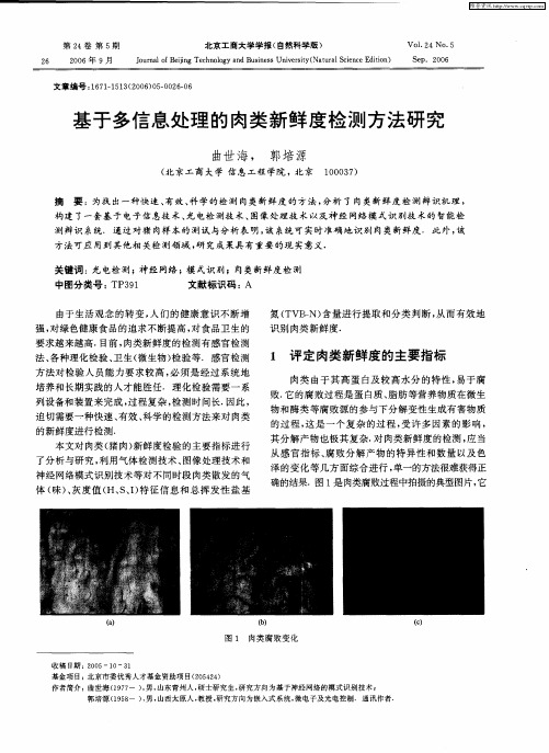 基于多信息处理的肉类新鲜度检测方法研究