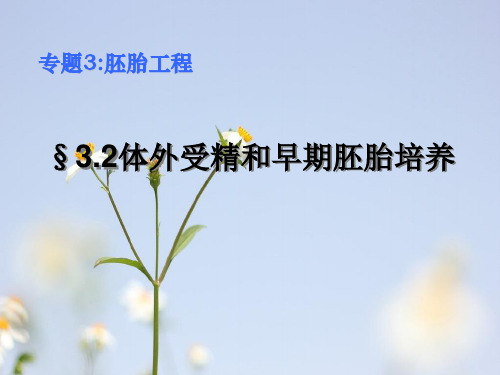 体外受精和早期胚胎培养PPT教学课件