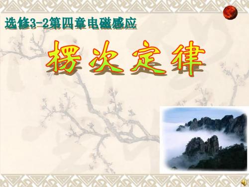 2楞次定律汇总