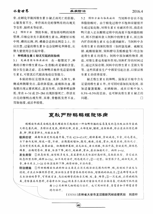 夏秋严防鹅鹅螺旋体病