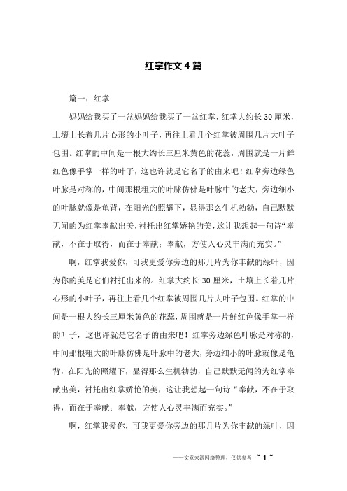 红掌作文4篇