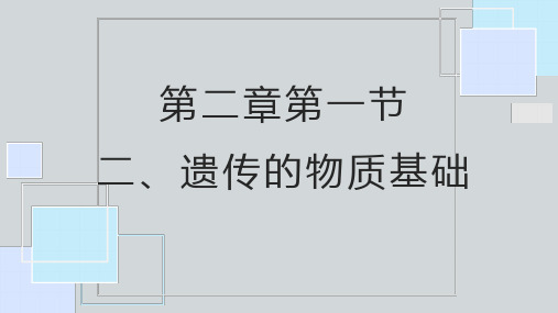 冀少版八年级下册6.2.2遗产物质的基础 课件(15张ppt)